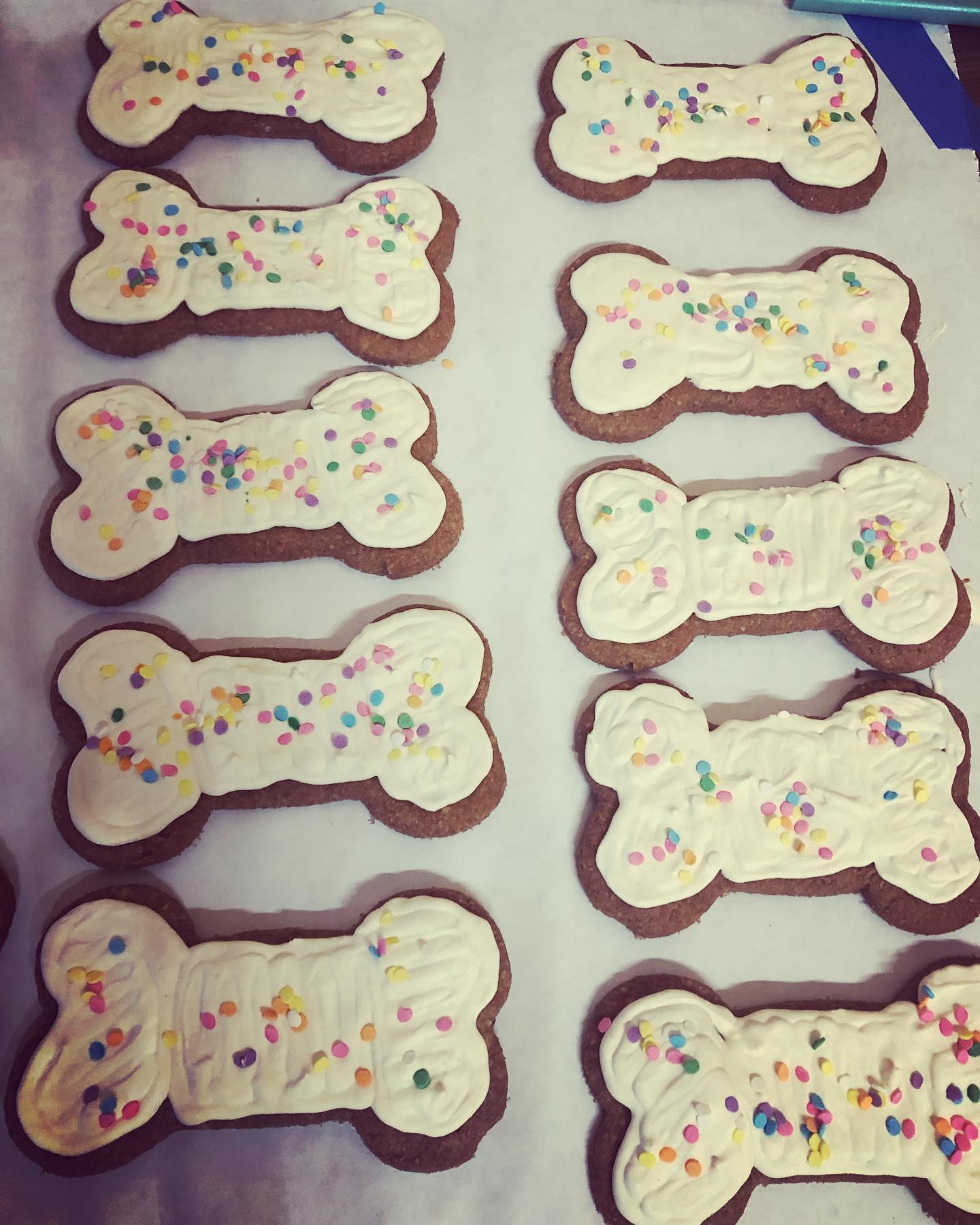 Birthday/Gotcha Day Treat Boxes