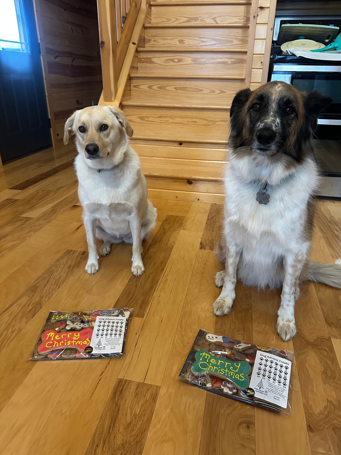 Dog Advent Treats