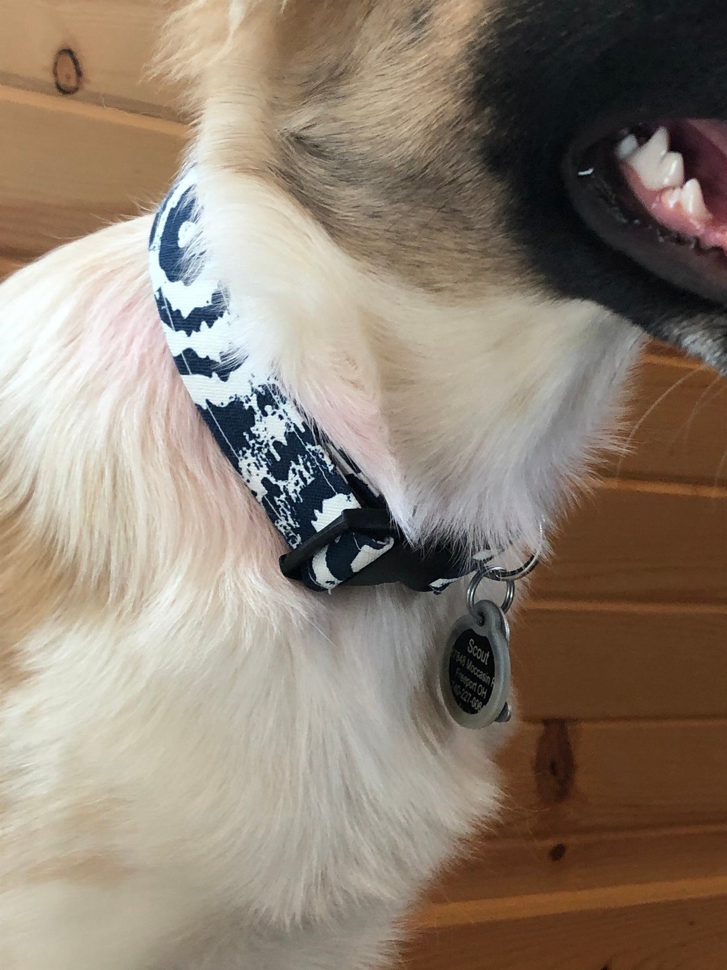 Webbing Dog Collar with Snap Buckle - Made to Order