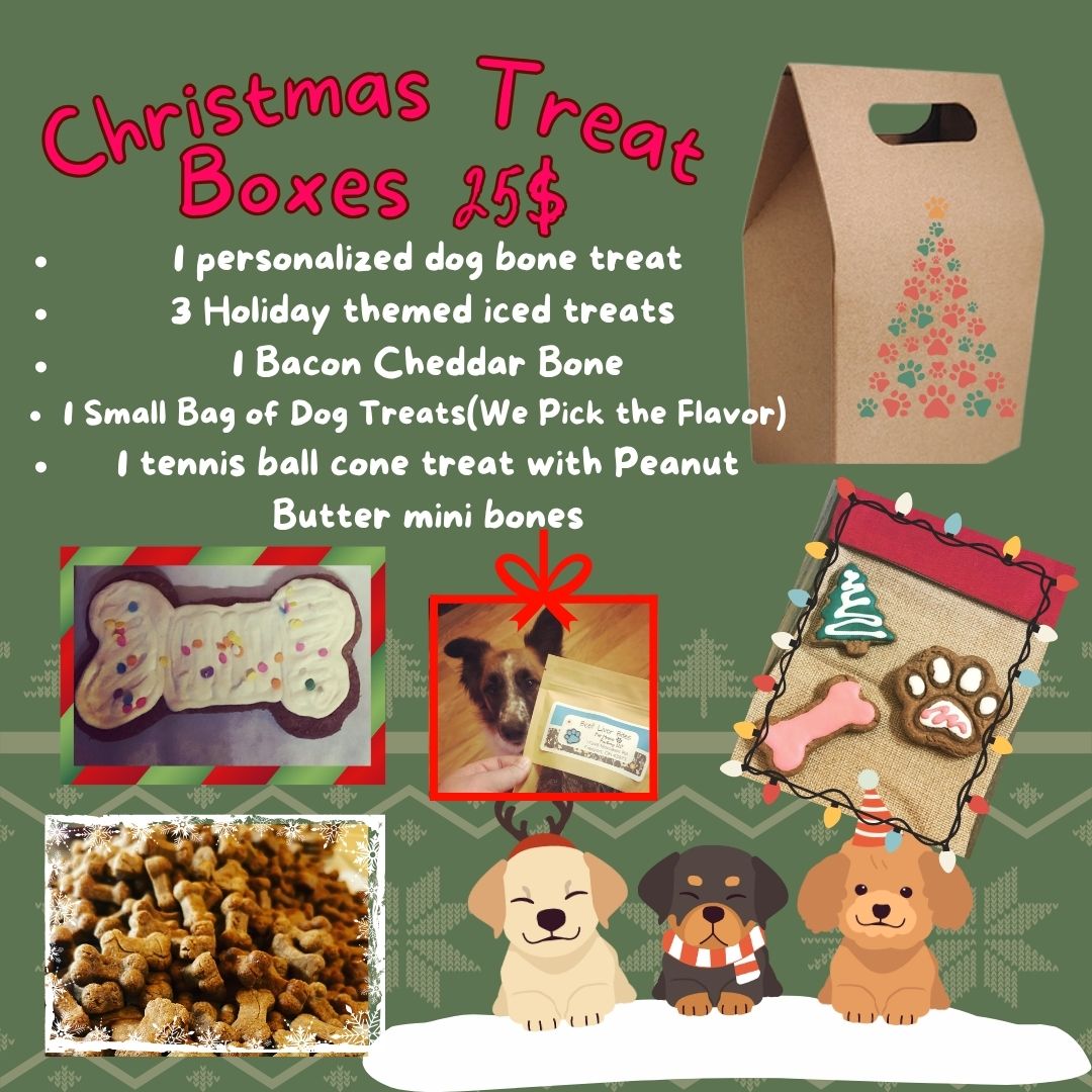 Christmas Treat Box