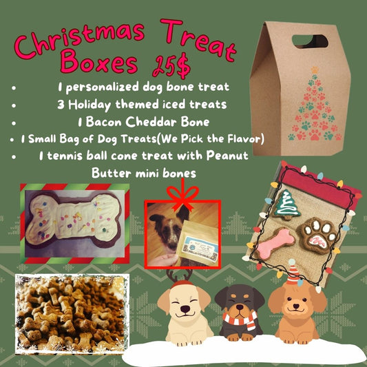 Christmas Treat Box