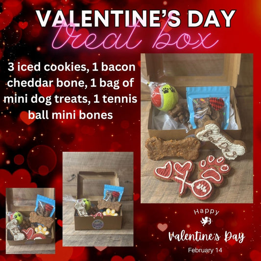 Valentine's Day Dog Treat Box