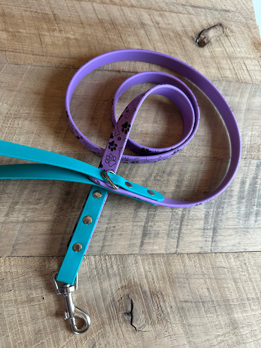 Two Tone Biothane Leashes