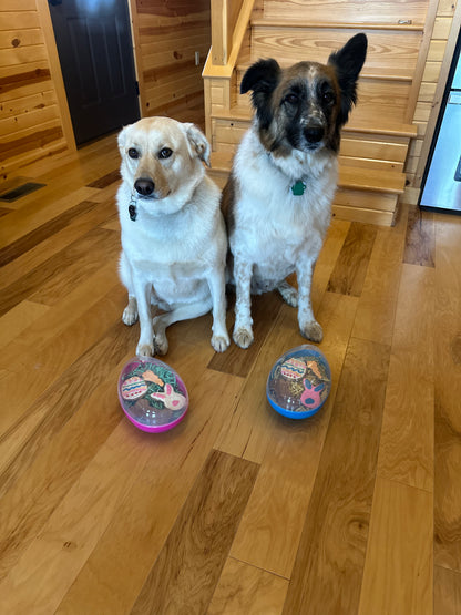 Dog Easter Egg with Treats