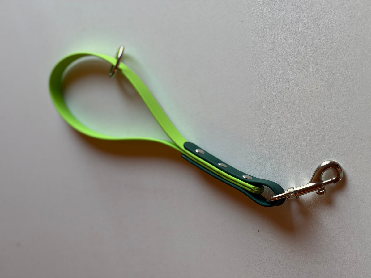 Two Tone Biothane Long Line Leashes