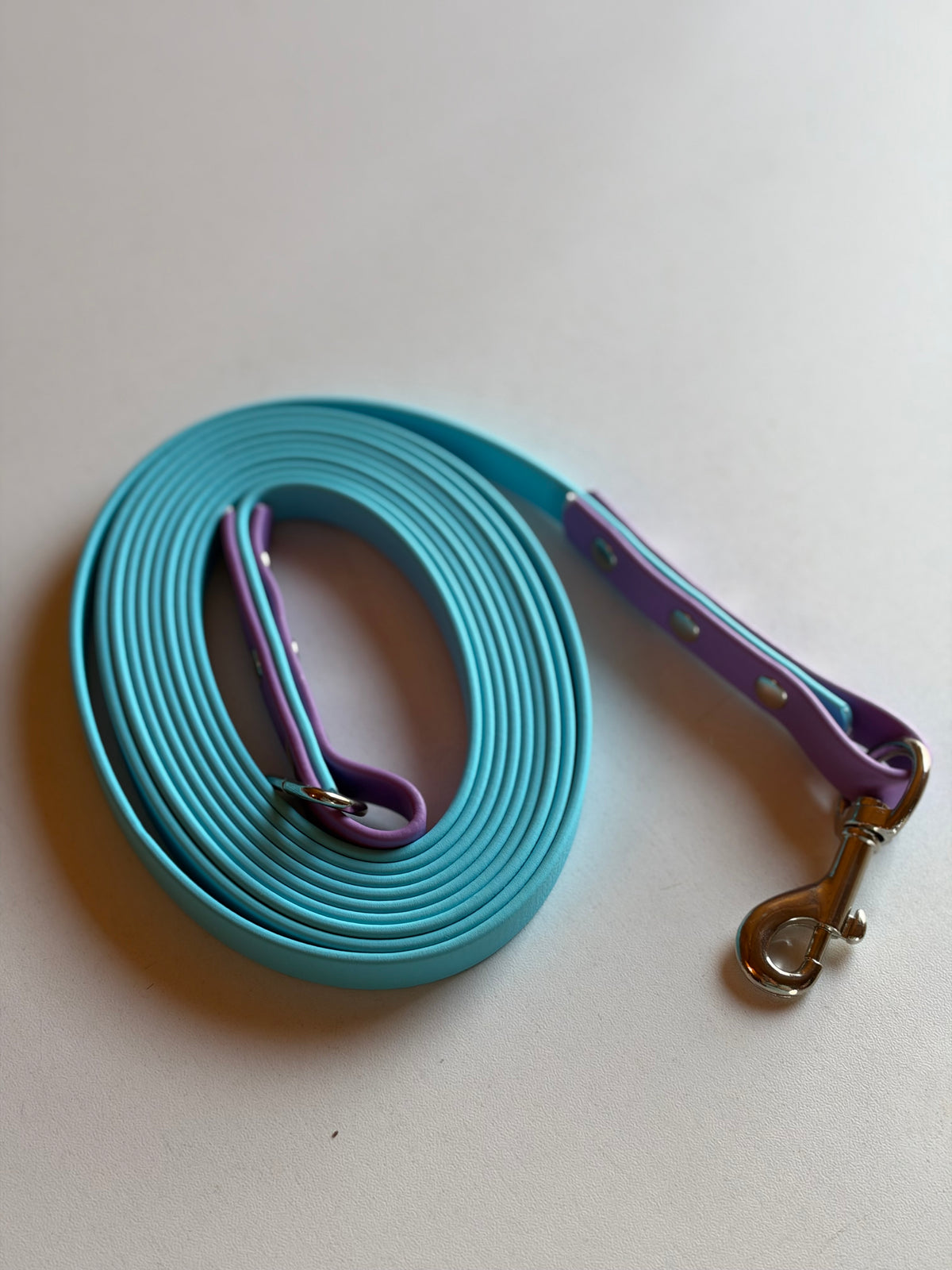 Two Tone Biothane Long Line Leashes