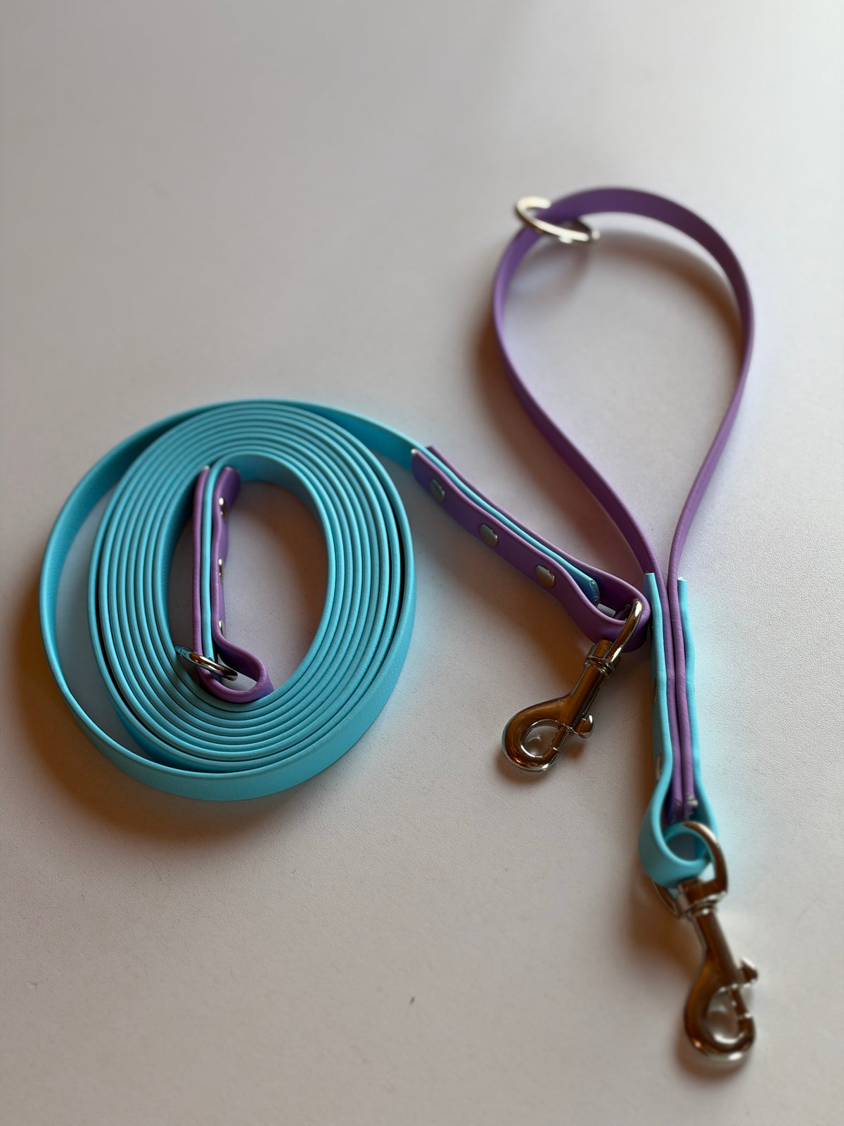 Two Tone Biothane Long Line Leashes