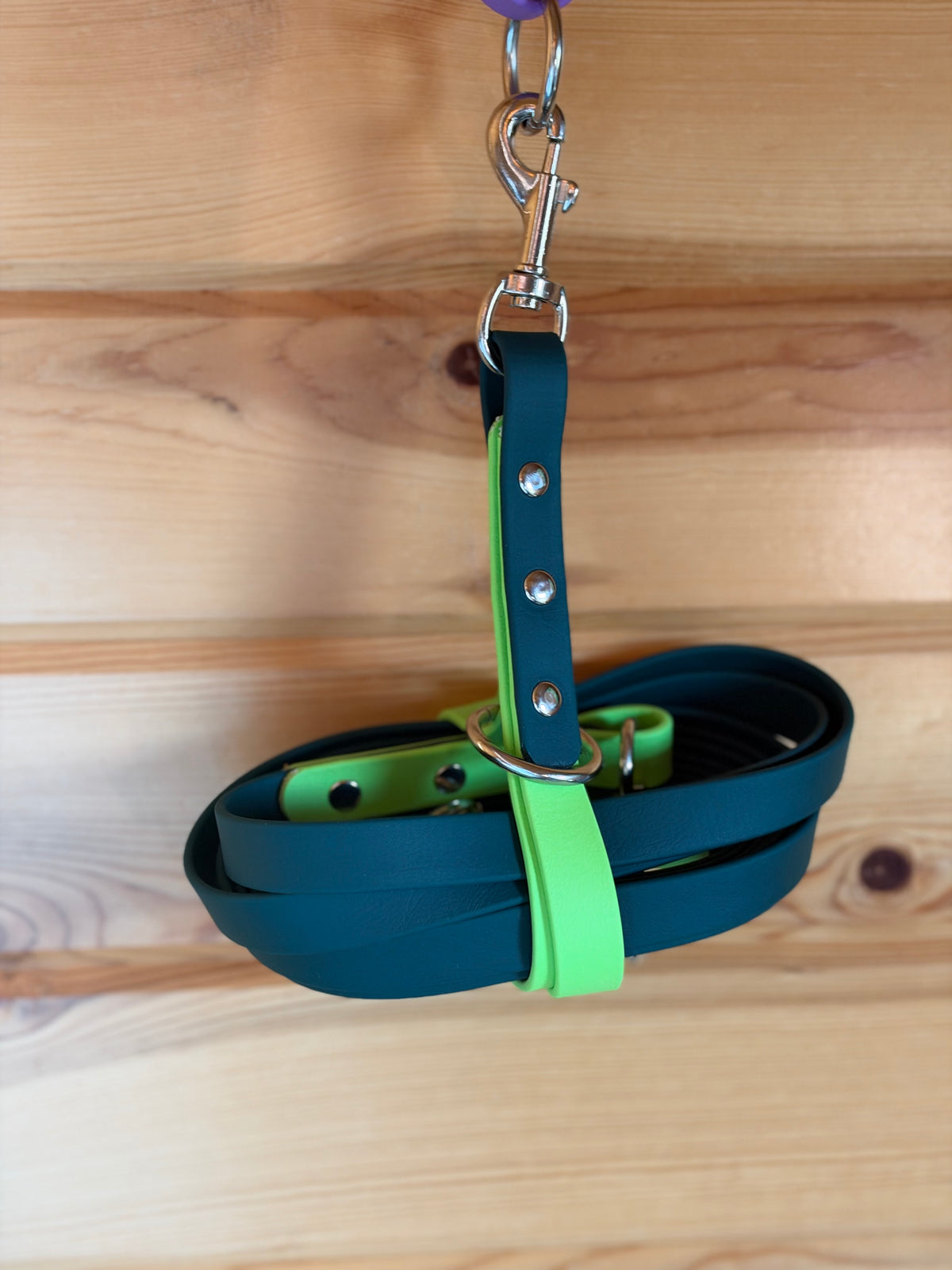 Two Tone Biothane Long Line Leashes