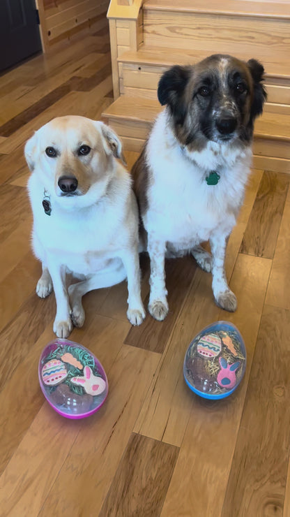 Dog Easter Egg with Treats